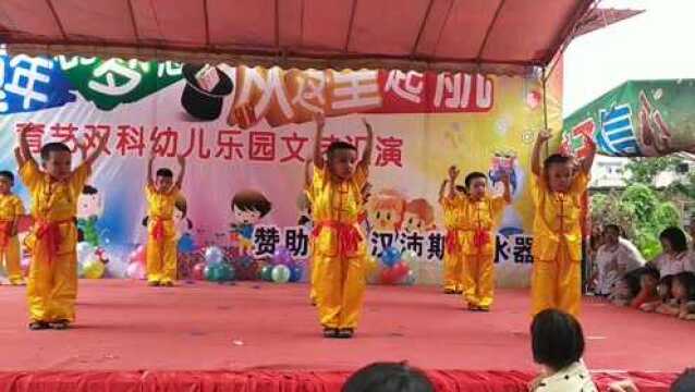 功夫小子