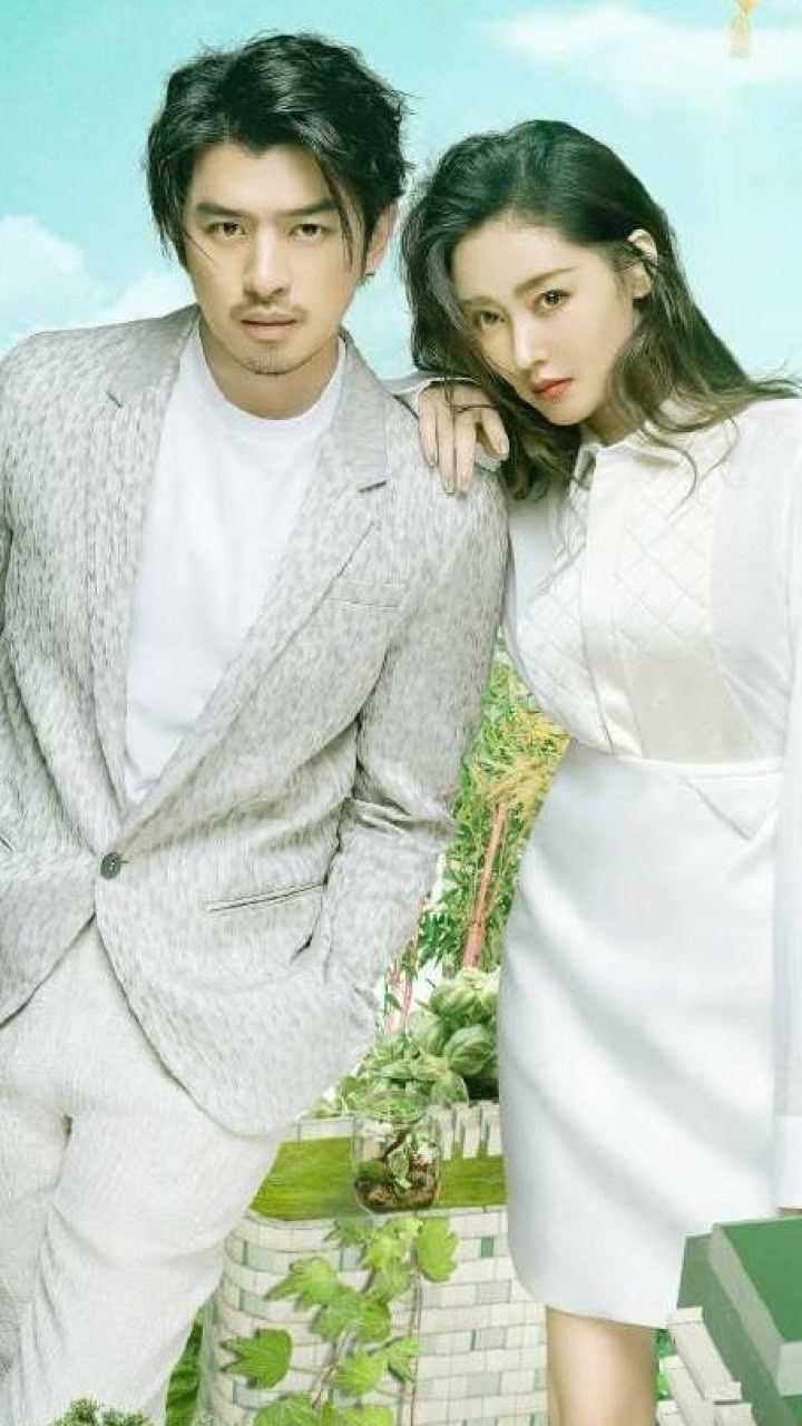 鳄鱼与牙签鸟陈柏霖张天爱的恋爱观竟然是这样