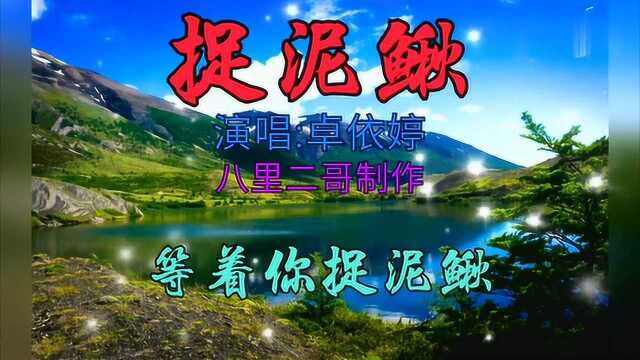 捉泥鳅,卓依婷演唱,儿歌