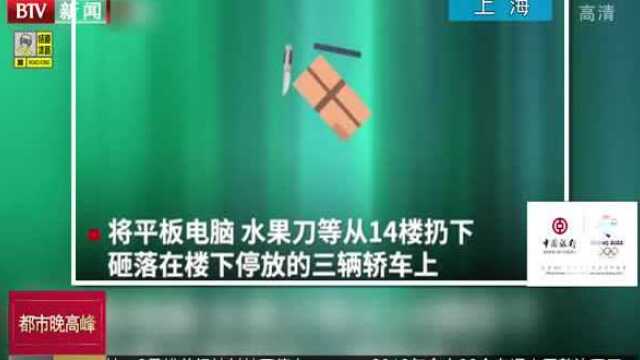 被告人从14楼扔刀扔电脑获刑一年