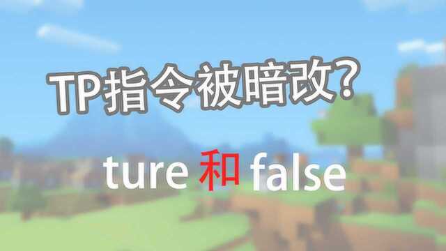 tp指令被暗改,新增新的功能?好像有点鸡肋呢,1.14版本