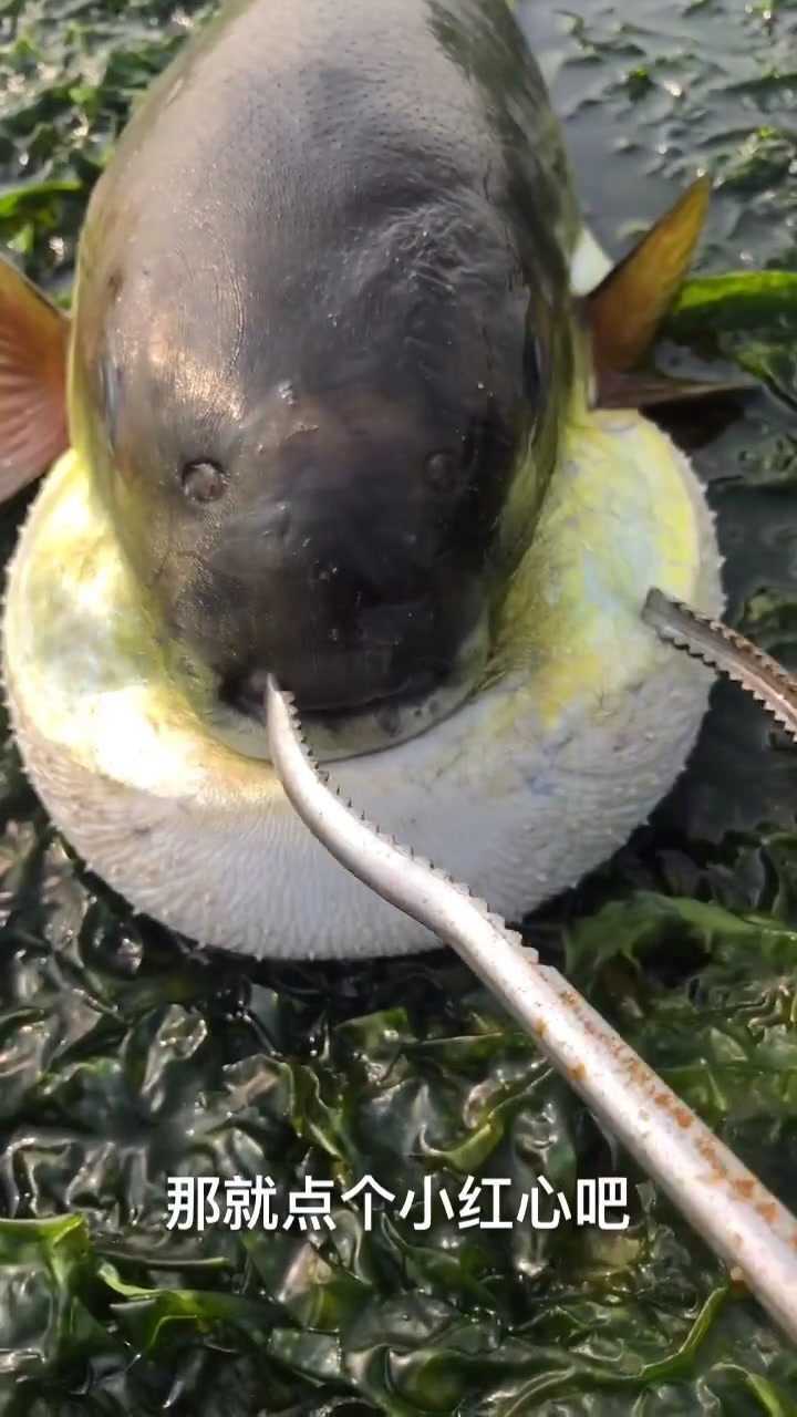 720_1280竖版 竖屏