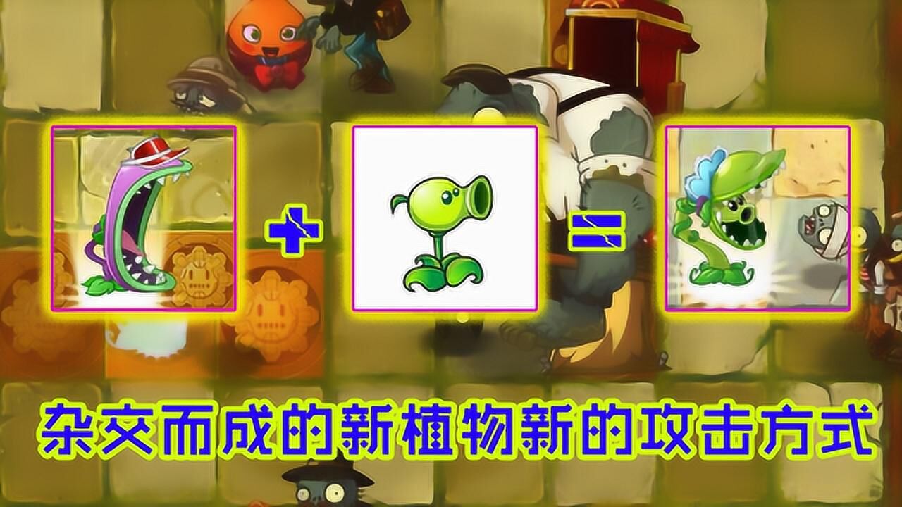 杂交植物豌豆大嘴花钻地下伸长身体来攻击最后还能吐出脑袋