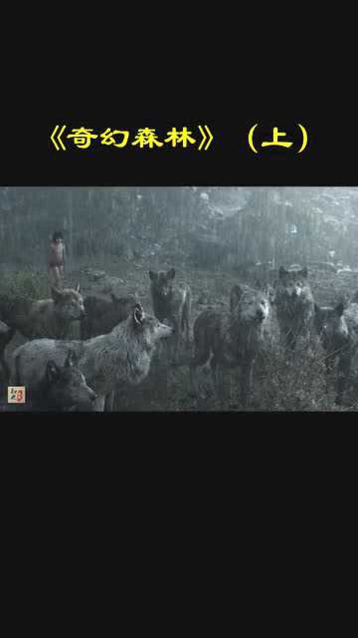狼孩的故事..........._腾讯视频