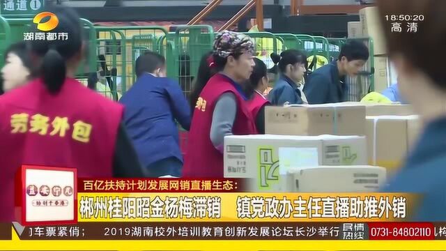 昭金杨梅滞销 主任通过直播网销七千余斤 直播零售已成为新发展