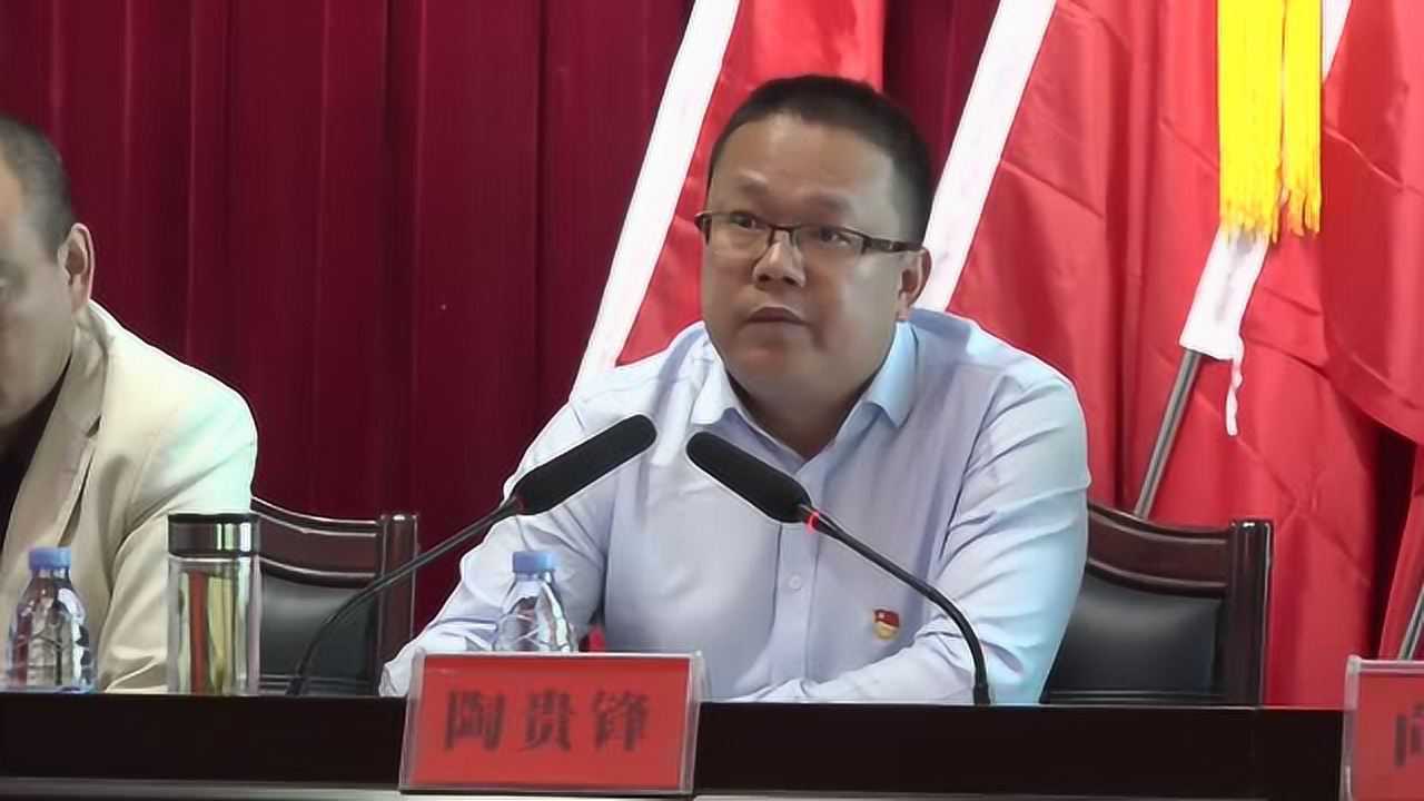 澧县大堰垱镇党委书记陶贵锋讲党课3_腾讯视频
