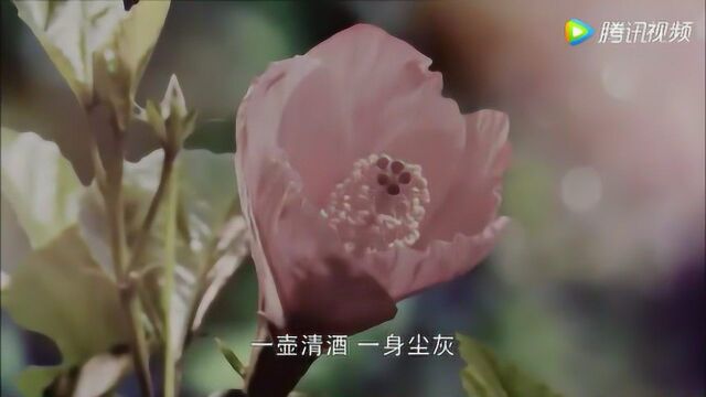 【罗云熙】【电视剧cut】百花凋零