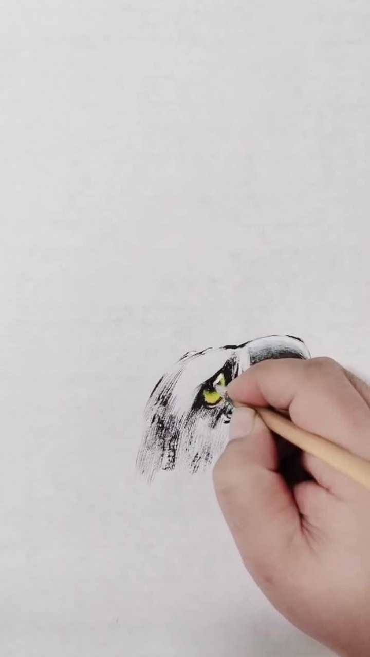 雄鹰展翅冲云霄下笔有神在心中用心画好每幅画