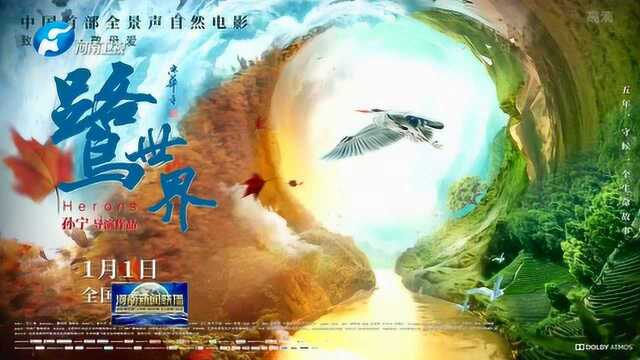 中国首部全景声自然电影《鹭世界》元旦公映