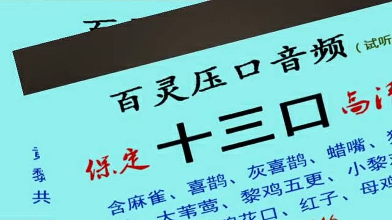百灵 十三口 百灵鸟 保定口 13口 原味高清 音频 压口