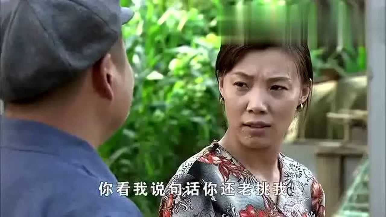 乡村爱情,老徐上任村支书,媳妇说话不严谨,老徐净挑媳妇理_腾讯视频