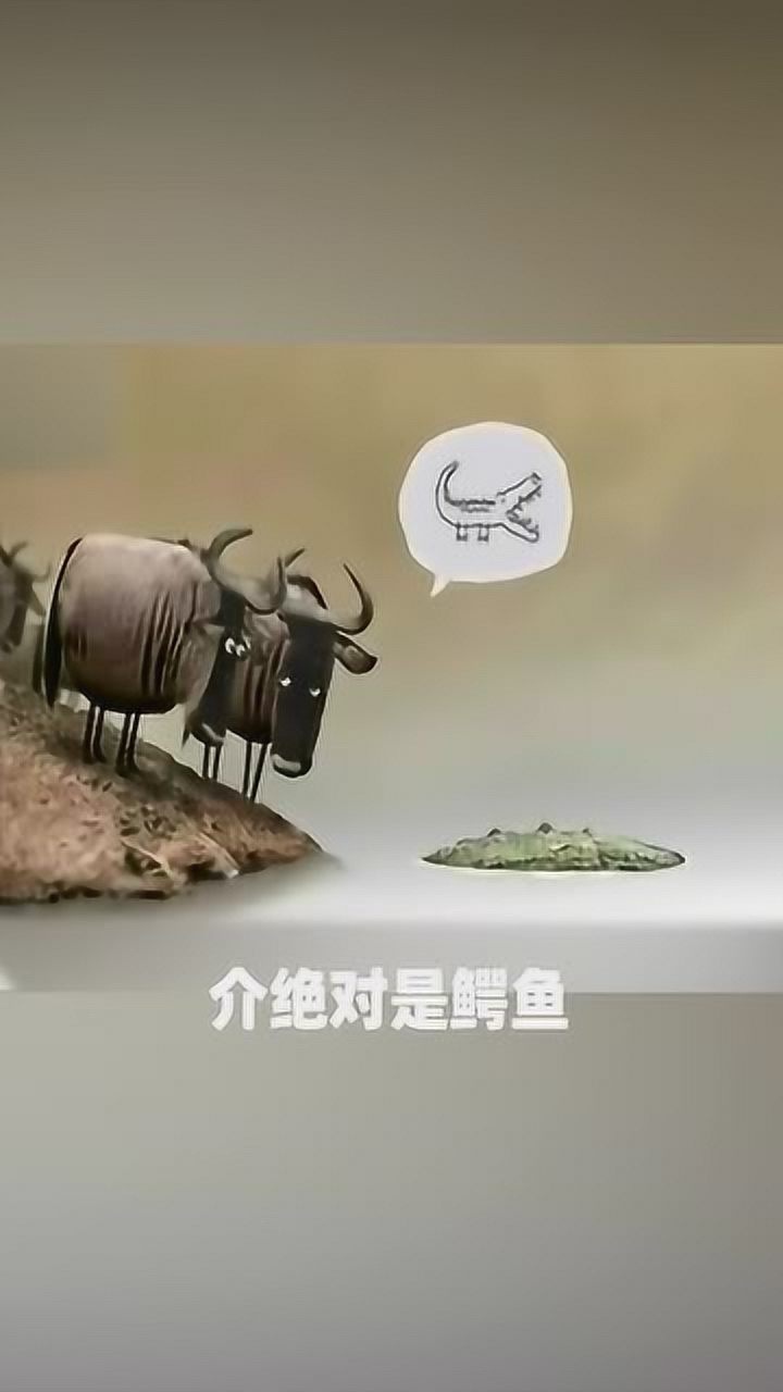 固始话配音鳄鱼木头河南方言和必笑