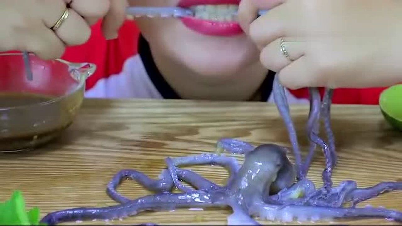 吃活章鱼生章鱼,我是不敢下嘴的