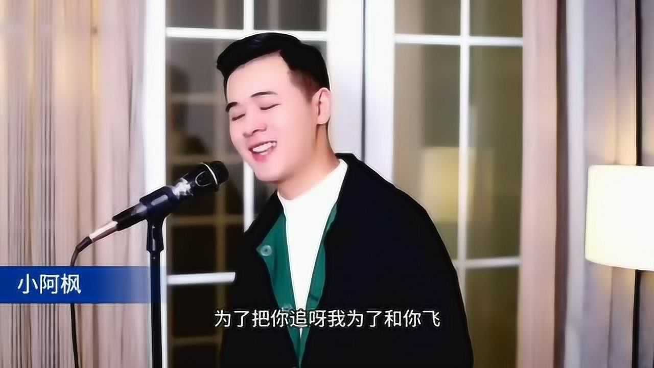 蒙面唱将小阿枫翻唱歌曲美了美了超好听