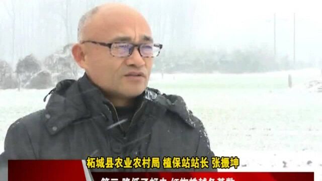 商丘市迎来入冬以来首场降雪