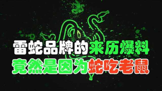 雷蛇这个名字是怎么来的?你一定想不到和老鼠有关