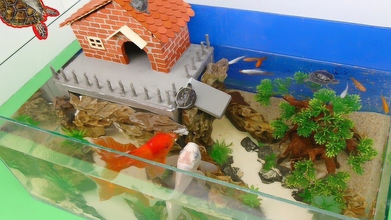 用人的方法给乌龟建移动房子,成品会成啥样?网友:不想做人了