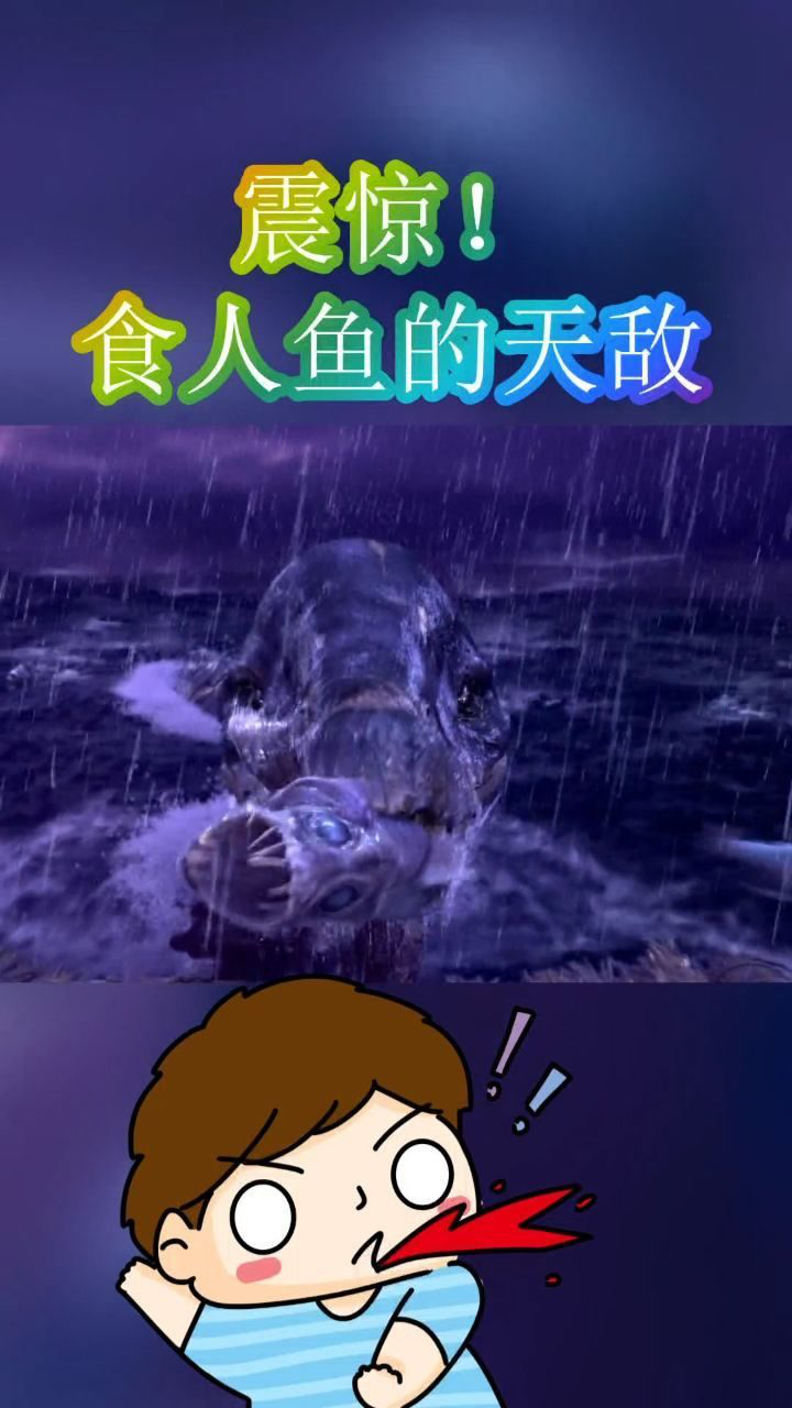 原来这才是食人鱼的天敌眼前这一幕看得我怀疑人生