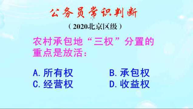 公务员常识判断,农村承包地三权分置的重点,是什么呢