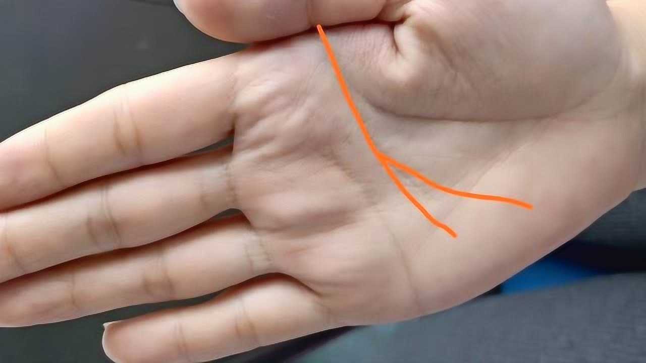 手中"智慧线"有分叉怎么办?应该如何避免波折?