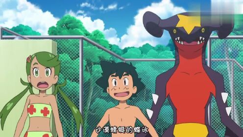 宝可梦:烈咬陆鲨腾空一跃,跳入泳池中,开始了花式游泳