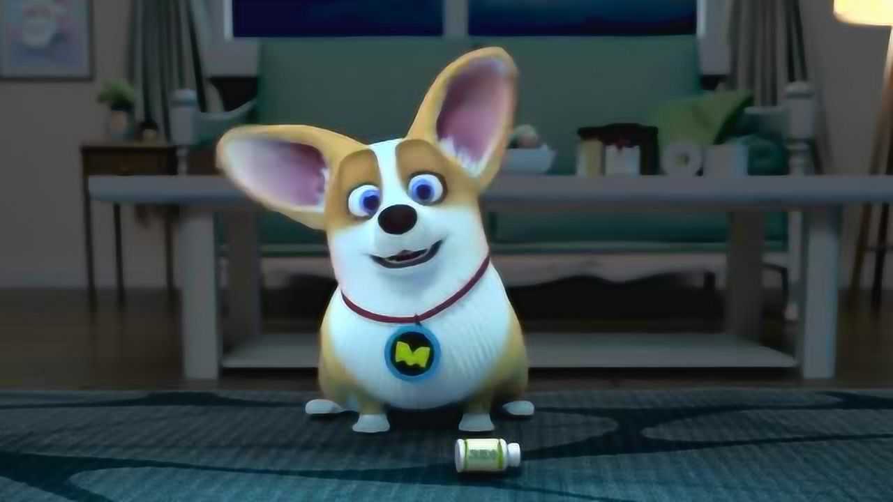 飞狗moco:小狗半夜把雅米吵醒,雅米生气极了