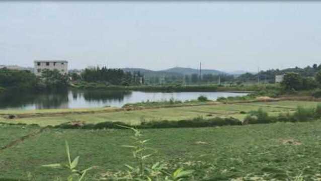 风水视频,坟墓风水四大穴法长乳穴学习,风水大师王君植湖南看风水寻龙讲解