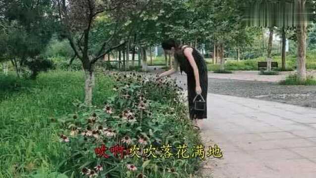 2019网络新歌,《风中有朵雨做的云》满满的回忆,希望你快乐