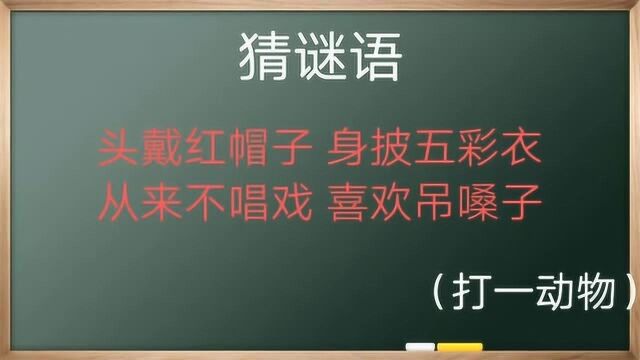 猜谜语,猜一常见动物,超简单哦,你能猜到吗?