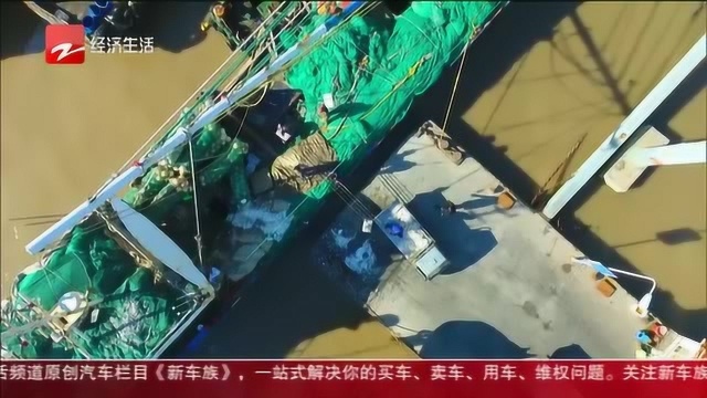 舟山岱山渔船陆续复工出海 海鲜价格与去年基本持平