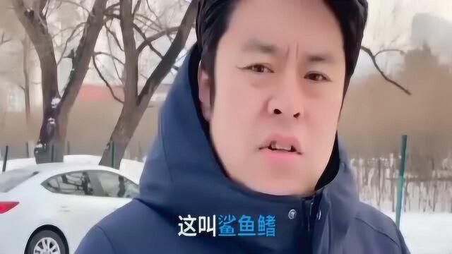 车顶上的鲨鱼鳍有什么用,这几大功能,司机朋友务必要知道