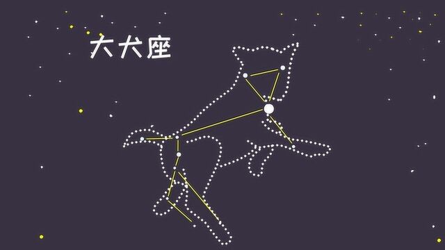 冬季夜晚南方天空中,大犬座是最受人注目的星座之一,你见过它吗?