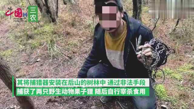 贵州毕节一男子捕杀两只果子狸食用被查处:在家没事做