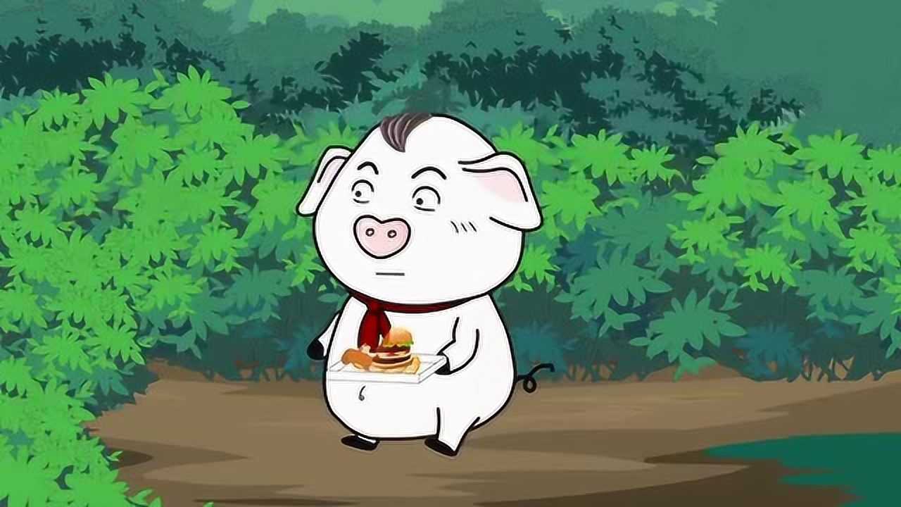 猪屁登关爱流浪小猫拒绝浪费粮食