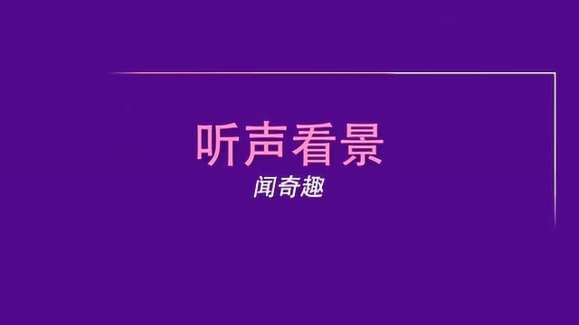 60万蝙蝠侵袭澳洲,狗头蝙蝠攻击力,千万人陷入恐慌