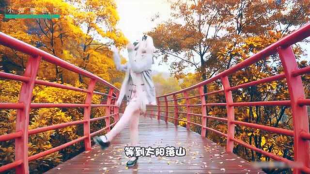 一首经典歌曲《花桥流水》DJ版,醉人醉心,好听至极