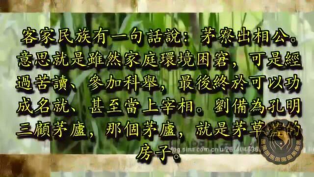 『中医中药学与认识草药』利尿 清热 降血糖 白茅根小草治大病