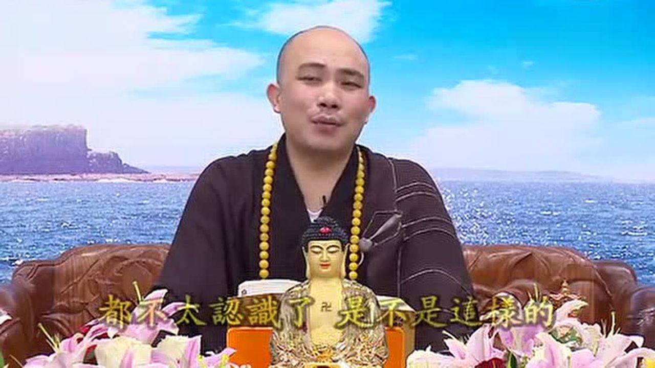 药师经36-圣宇法师主讲