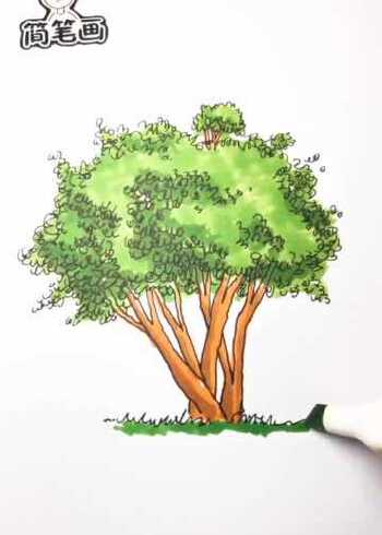 儿童简笔画:教你用最简单的方法画一棵树