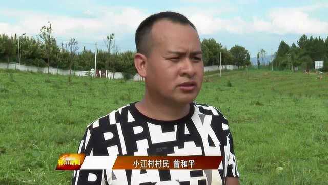 小江村:乡村振兴从群众的呼声中做起