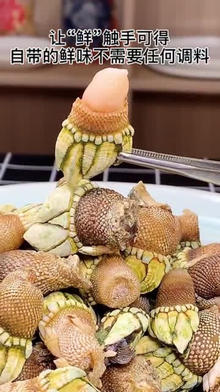 佛手螺的吃法,你知道吗?