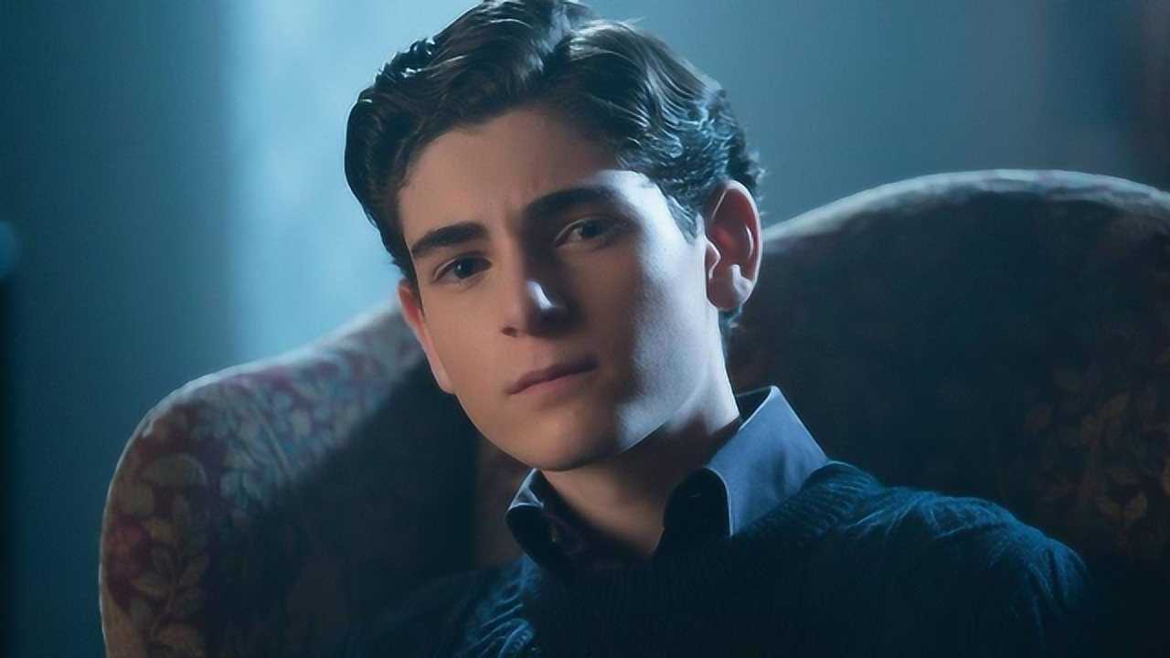 布鲁斯韦恩:一个财力在城内无人能及的少年