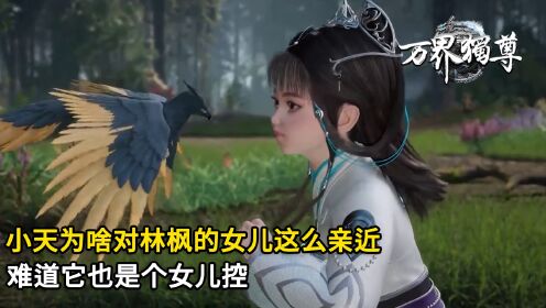 万界独尊林枫的孩子