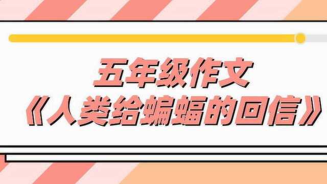 五年级作文《人类给蝙蝠的回信》天堂鸟教育葛芳老师