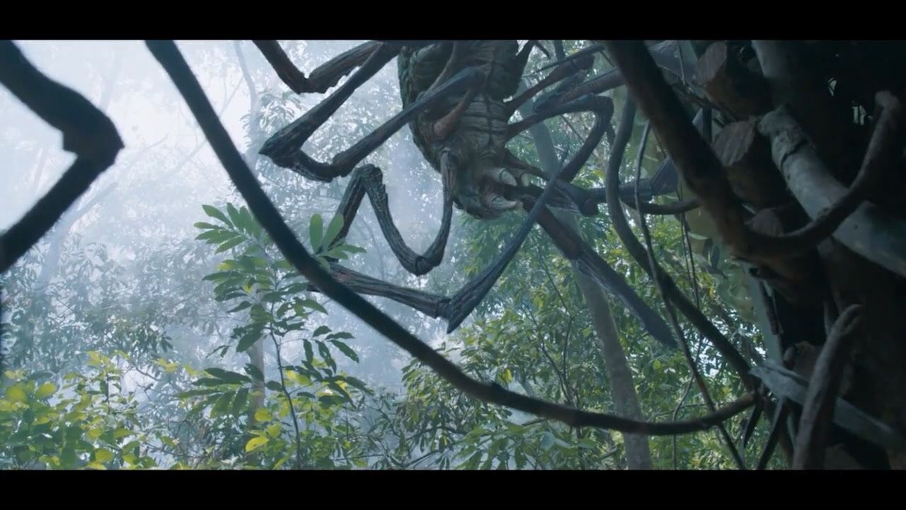 原始森林惊现巨型蜘蛛太吓人了
