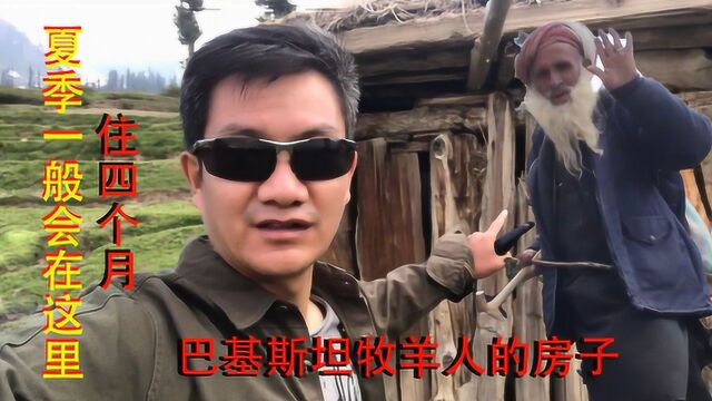 看巴基斯坦牧羊人的房子,人住这里羊怎么办?游牧民族草场就是家