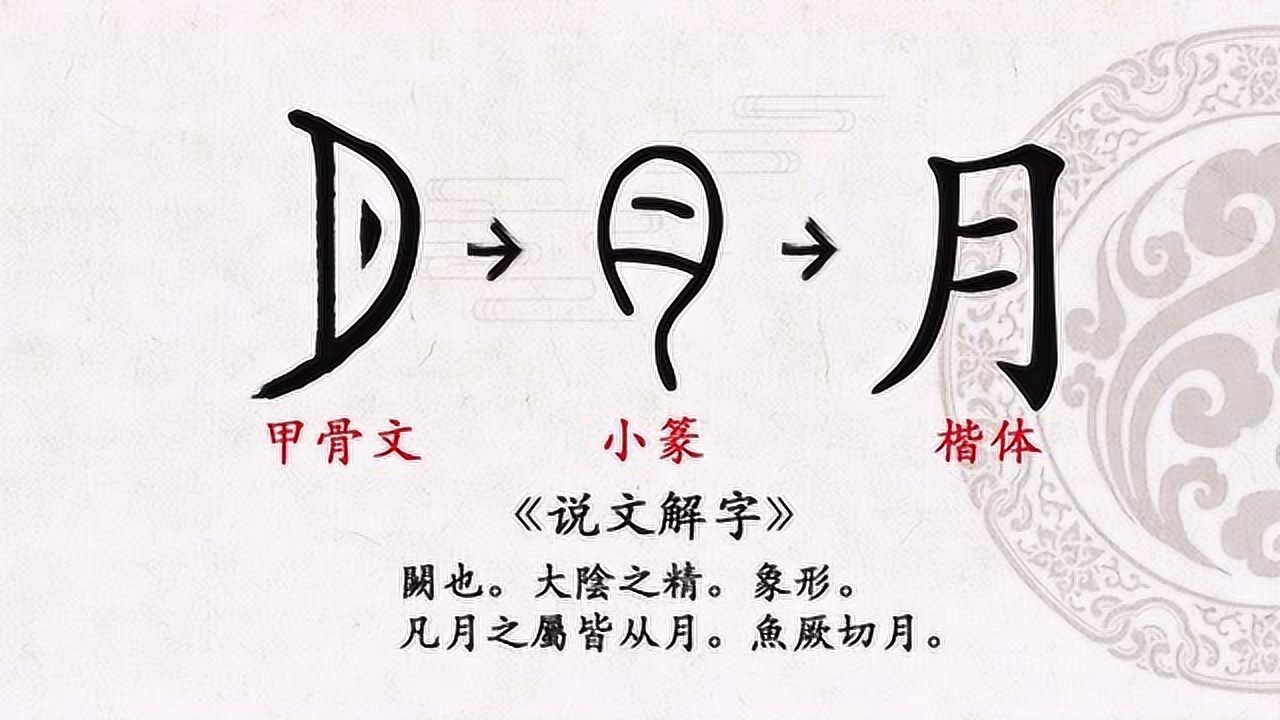 第2天 甲骨文"月"字的写法