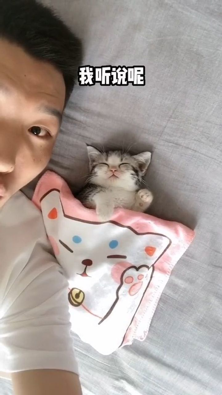 李哈哈小猫来自东北