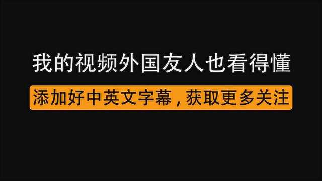 如何给视频添加中英文字幕?获取国外粉丝就靠它了,赶紧学起来