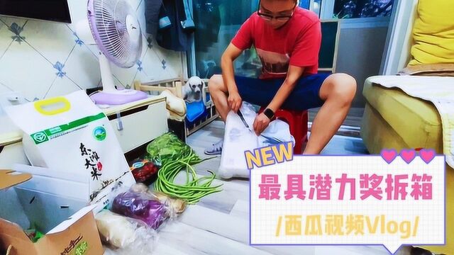 西瓜视频:生活就要这样拍,我的Vlog最好看!「最具潜力奖拆箱」